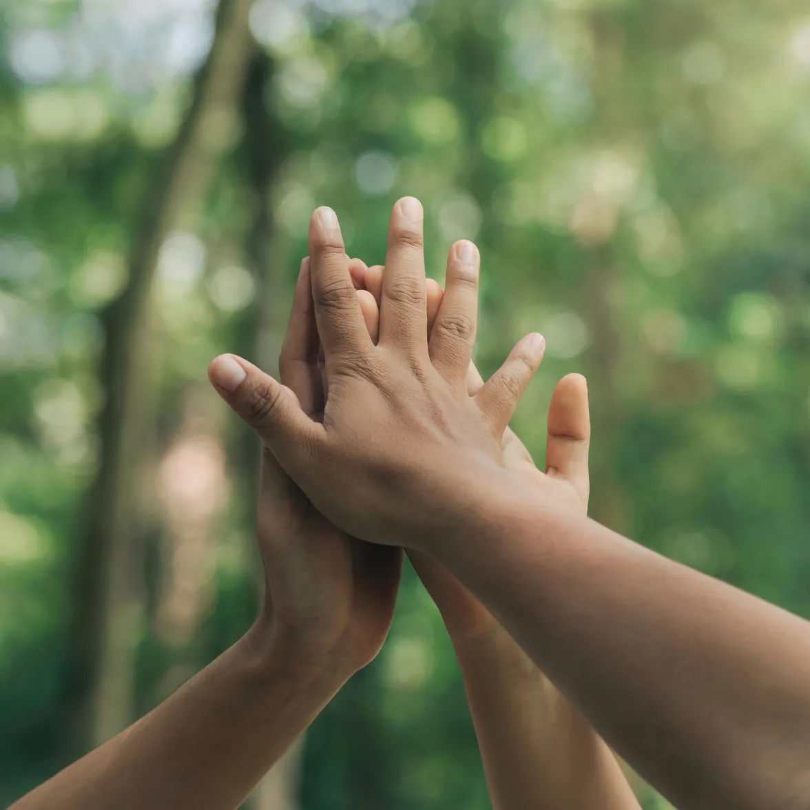 Équipe Monizze dans les bureaux